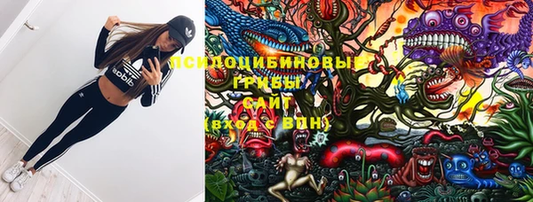 прущая мука Абаза