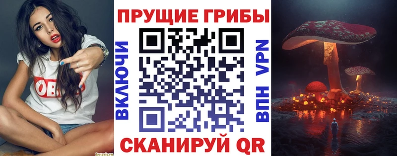 продажа наркотиков  Магнитогорск  Псилоцибиновые грибы Psilocybe 