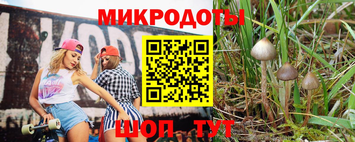 Галлюциногенные грибы Magic Shrooms Магнитогорск