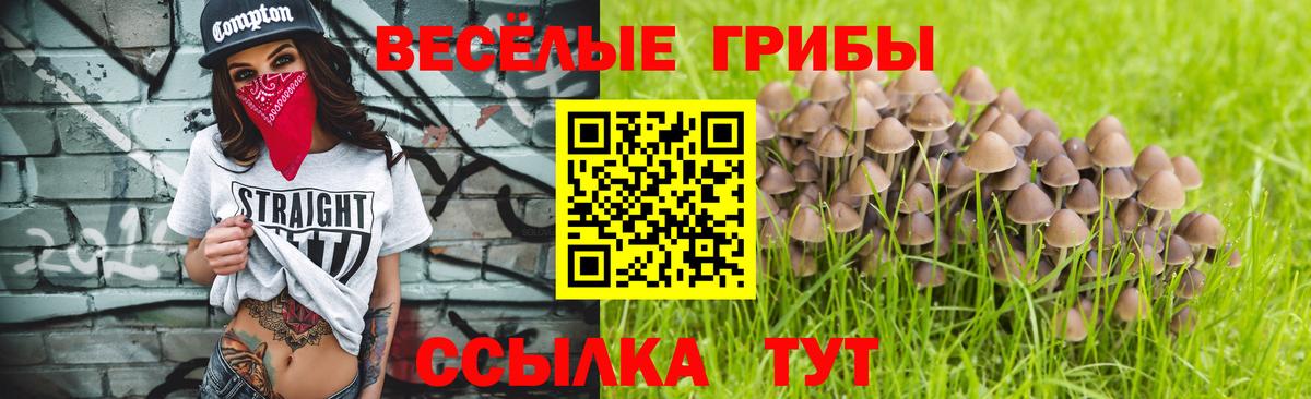 Магнитогорск  Псилоцибиновые грибы мухоморы  Вход с VPN  где продают наркотики  Псилоцибиновые грибы прущие грибы 